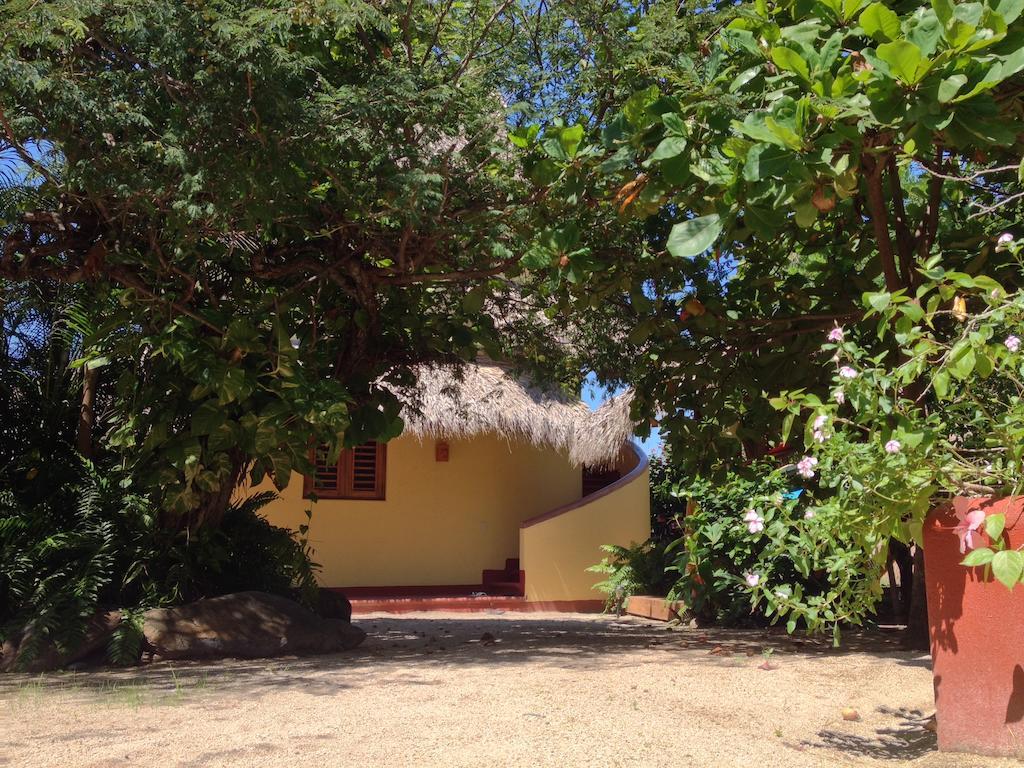 Troncones Point Hostel Exteriér fotografie