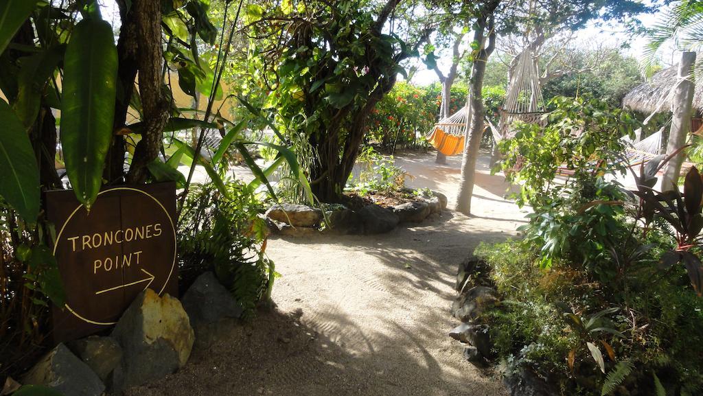 Troncones Point Hostel Exteriér fotografie